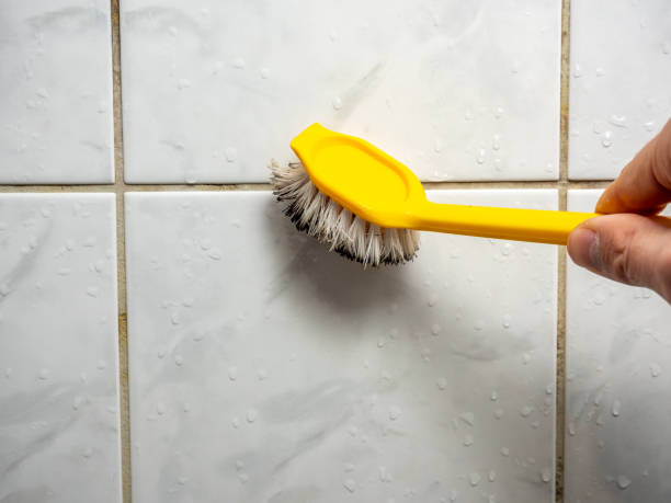 Best Local Mold Removal Service  in Warren, MI