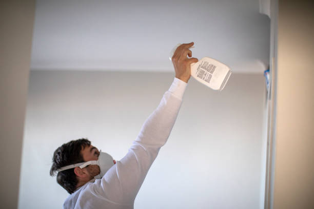 Best Same-Day Mold Removal  in Warren, MI