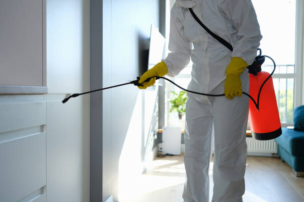 Certified Mold Removal in Warren, MI