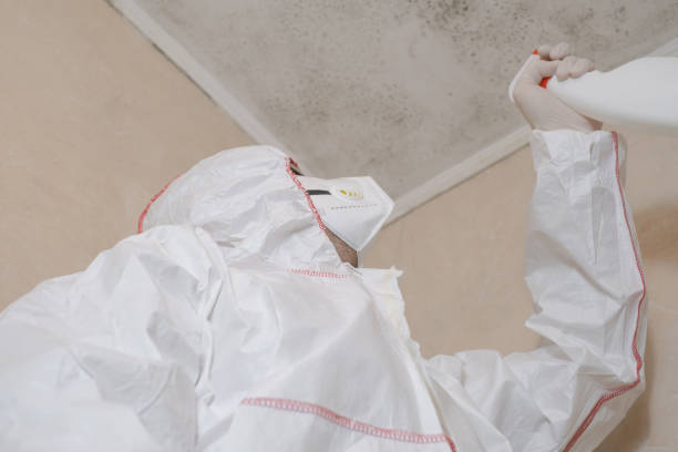 Best Office Mold Removal Services  in Warren, MI